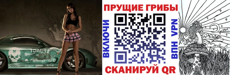 Псилоцибиновые грибы Cubensis  Новоульяновск 